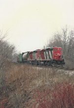 CN 4119